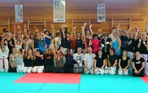 Réussite de la Méga Body taekwondo