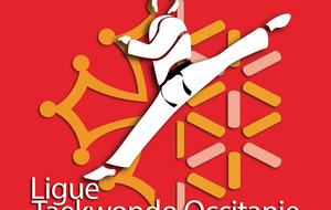 Open International labellisé de Toulouse 2017