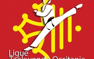 Stage d'Arbitrage 2021 Ligue Occitanie