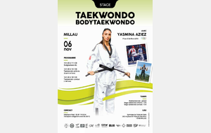 Stage tournée des experts Taekwondo + Bodytaekwondo