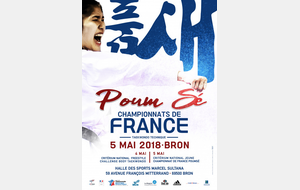 Championnats de France Poumsé et critériums nationaux-Body Taekwondo