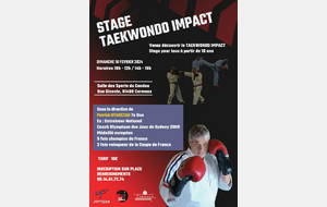 Stage Taekwondo Impact