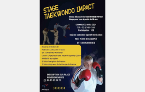 Stage Taekwondo Impact 