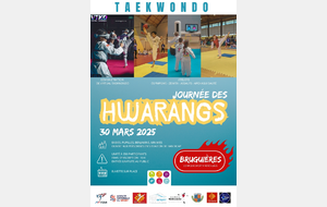 Journée des Hwarangs à Bruguières