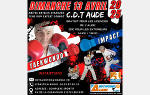 Stage Taekwondo Impact 
