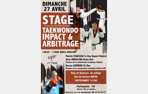 Stage Taekwondo Impact