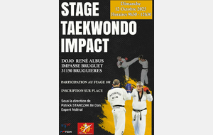 Stage de Taekwondo Impact - Bruguières (31)