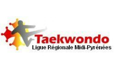 Stage hapkido 15 février 2015