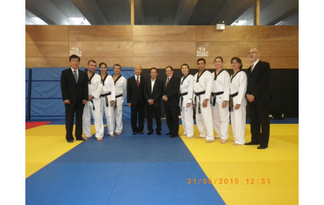 Passage de grade national du 31 Mai 2015