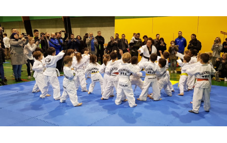 Journée des Hwarangs