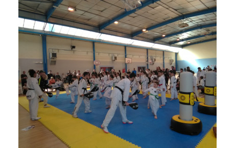 Journée des Hwarangs